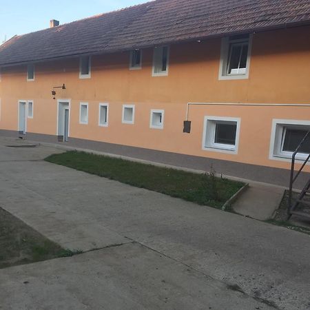 Ferienwohnung Ubytovani Fish-Com Štětí Exterior foto